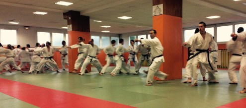 21 novembre 2015 © Tradition Martiale Dombasle