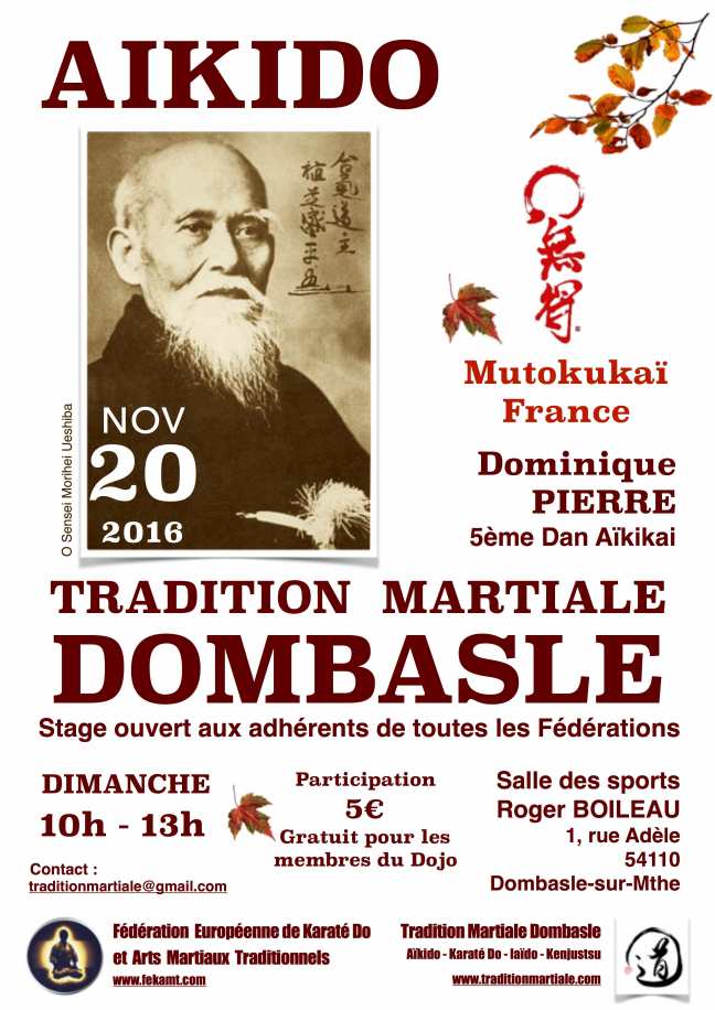 stg-tmd-aikido-20-nov-16