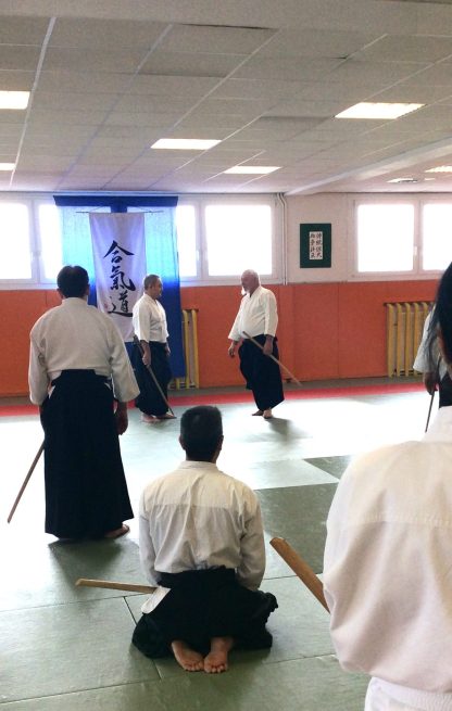 benedetti-shihan-tmd-2017-22